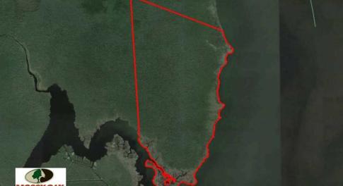 Photo of SOLD!  998 Acres of Riverfront Hunting Land For Sale in Camden County NC!