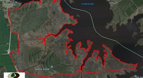 Photo of UNDER CONTRACT!  547 ac Waterfront Hunting Land For Sale in Beaufort County NC!