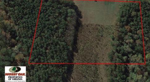 Photo of SOLD!  2.6 Acres of Hunting Land and Home Site For Sale in Suffolk VA!