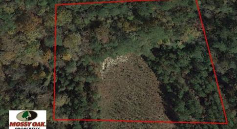 Photo of SOLD!  2.3 Acres of Hunting Land for Sale in Suffolk VA!