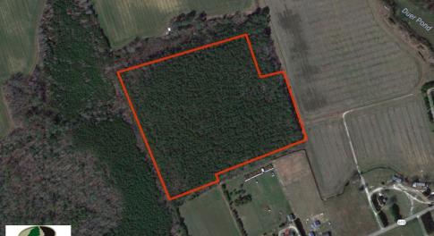 Photo of SOLD!  28 Acres of Hunting Land For Sale in Accomack County VA!