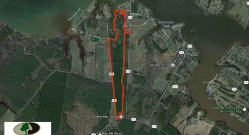 Photo of SOLD!  63 Acres of Waterfront Hunting Land For Sale in Accomack County VA!