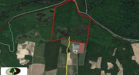 Photo of SOLD!  172 Acres of Riverfront Hunting and Timber Land For Sale in Craven County NC!
