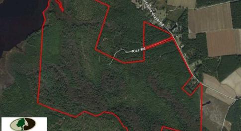 Photo of REDUCED!  442 Acres of Waterfront Hunting and Timber Land For Sale in Pamlico County NC!