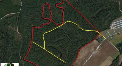 Photo of UNDER CONTRACT!  212 Acre Riverfront Hunting Land for Sale in Duplin County NC!