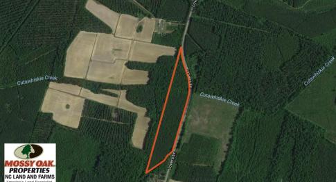 Photo of SOLD!  15.54 Acres of Hunting and Timber Land For Sale in Northampton County NC!