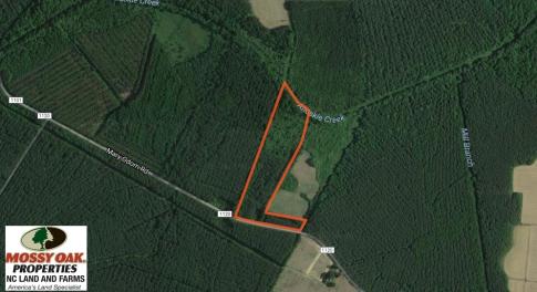 Photo of SOLD!  12.5 Acres of Hunting and Timber Land For Sale in Hertford County NC!
