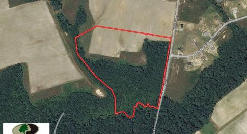 Photo of UNDER CONTRACT!  20 Acres of Hunting and Farm Land For Sale in Southampton County VA!