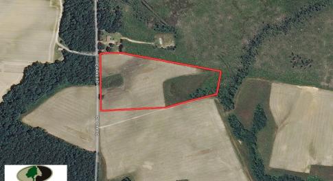 Photo of UNDER CONTRACT!  11 Acres of Farm Land For Sale in Southampton County VA!