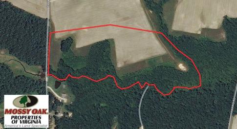 Photo of SOLD!  30 Acres of Hunting and Farm Land For Sale in Southampton County VA!