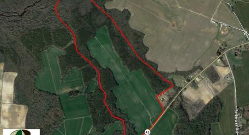 Photo of SOLD!  181 Acres of Farm and Timberland for Sale in Edgecombe County NC!