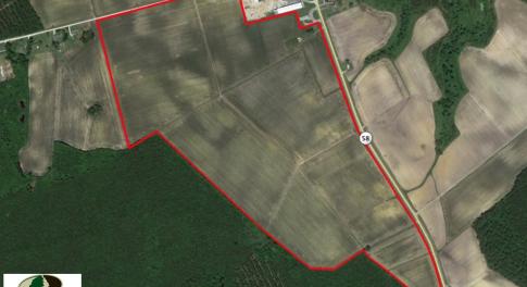 Photo of SOLD!  144 Acres of  Prime Farm and Cropland For Sale in Jones County NC!