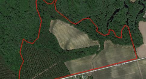 Photo of UNDER CONTRACT!  78.5 Acres of Farm and Timber Land for Sale in Jones County NC!