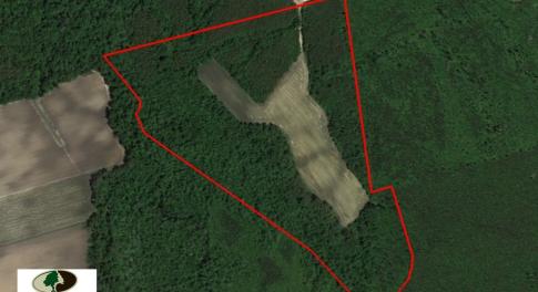 Photo of UNDER CONTRACT!  75.5 acre Farm and Timberland for Sale in Jones County NC!
