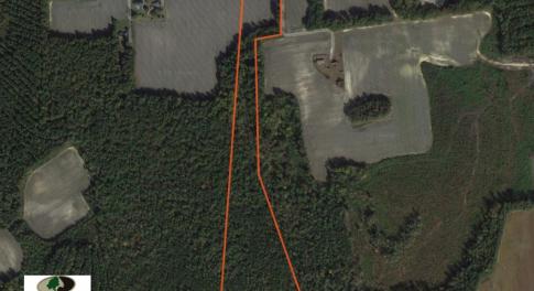 Photo of UNDER CONTRACT!  22 Acres of Hunting Land For Sale in Greensville County VA!