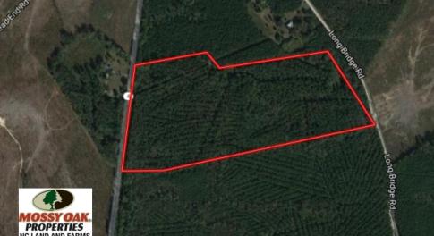 Photo of UNDER CONTRACT!  51.44 Acres of Hunting and Timber Land For Sale in Halifax County NC!