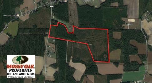 Photo of UNDER CONTRACT!  86.59 Acres of Timber and Hunting Land For Sale in Wilson County NC!