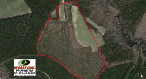 Photo of UNDER CONTRACT!  90.5 Acres of Farm and Hunting Land For Sale in Hertford County NC!