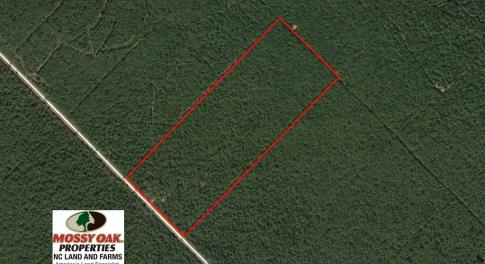 Photo of UNDER CONTRACT!  60 Acres of Bear and Deer Hunting Land For Sale in Hyde County NC!