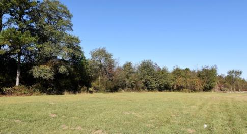 Photo of UNDER CONTRACT!  16 Acres of Residential Hunting Land For Sale In Duplin County NC!