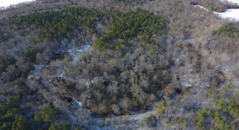 Photo of UNDER CONTRACT!  25.25 Acres of Creek Front Hunting Land For Sale in Edgecombe County NC!