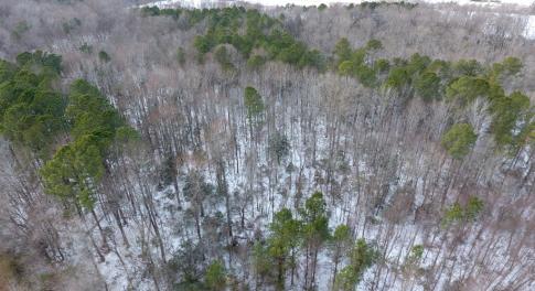 Photo of UNDER CONTRACT!  26.89 Acres of Residential and Timber Land For Sale in Edgecombe County NC!