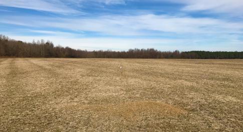 Photo of UNDER CONTRACT!  62.5 Acres of Farm and Timber Land For Sale in Wayne County NC!