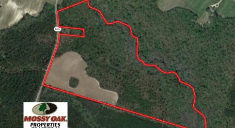 Photo of UNDER CONTRACT!  67 Acres of Recreational and Farm Land For Sale in Sussex County VA!