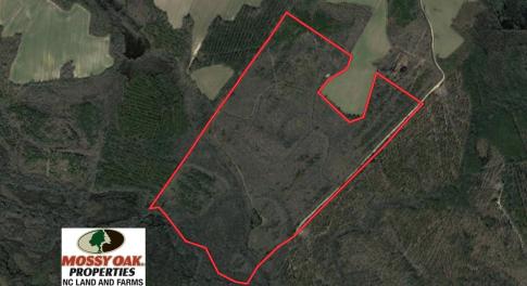 Photo of UNDER CONTRACT!  167 Acres of Hunting Land For Sale in Halifax County NC!