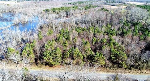 Photo of UNDER CONTRACT!  45 Acres of Hunting and Recreational Land For Sale In Wilson County NC!