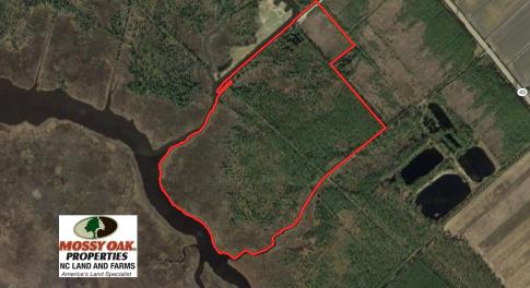 Photo of UNDER CONTRACT!  65 Acres of Waterfront Land For Sale in Hyde County NC!