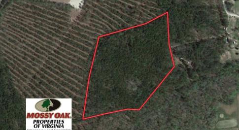 Photo of UNDER CONTRACT!  16.7 Acres of Hunting Land For Sale in Southampton County VA!