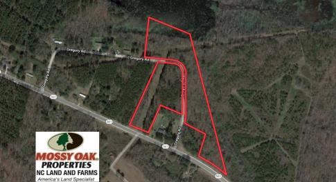 Photo of UNDER CONTRACT!  11.4 Acres of Hunting Land with Duck Swamp For Sale in Halifax County NC!