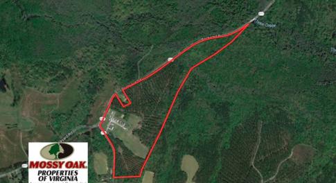 Photo of UNDER CONTRACT!  62 Acres of Residential Timber Land For Sale in Greensville County VA!