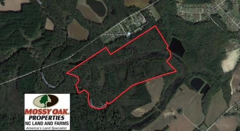 Photo of UNDER CONTRACT!  115 Acres of Hunting Land For Sale in Wilson County NC!
