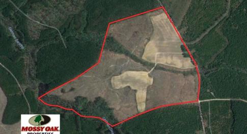 Photo of UNDER CONTRACT!  150 Acres of Farm and Hunting Land For Sale in Sussex County VA!