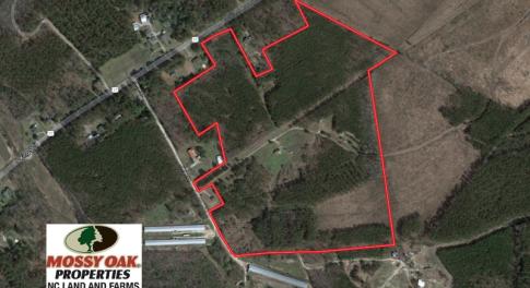 Photo of UNDER CONTRACT!  59 Acres of Hunting and Timber Land with Home For Sale in Bertie County NC!