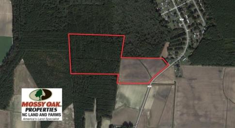 Photo of UNDER CONTRACT!  33 Acres of Hunting and Timber Land For Sale in Wilson County NC!