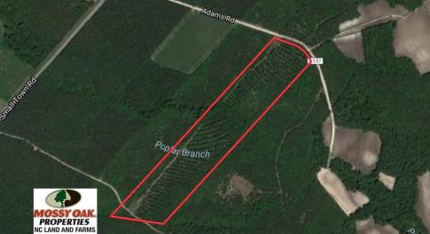 Photo of UNDER CONTRACT!  26.7 Acres of Hunting and Timber Land For Sale in Jones County NC!
