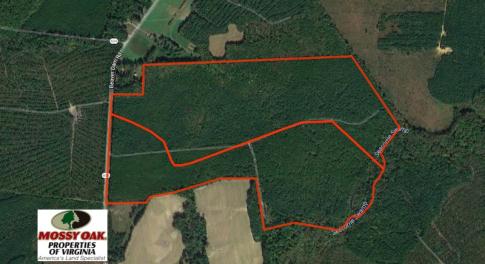 Photo of UNDER CONTRACT!  196 Acres of Hunting Land for Sale in Sussex County VA!