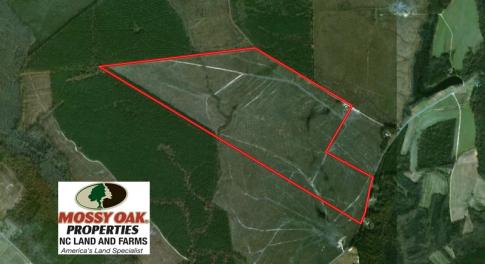 Photo of UNDER CONTRACT!  219 Acres of Timber Land For Sale In Halifax County NC!