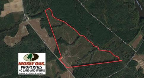 Photo of UNDER CONTRACT!  104.8 Acres of Hunting Land For Sale in Halifax County NC!