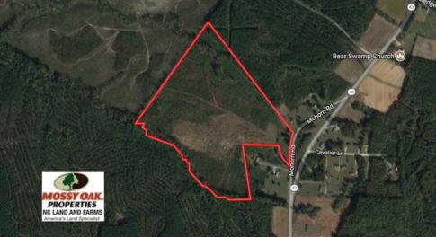 Photo of UNDER CONTRACT!  50.77 Acres of Hunting Land For Sale in Halifax County NC!