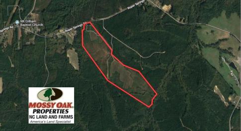 Photo of UNDER CONTRACT!  102 Acres of Hunting Land For Sale in Halifax County NC!