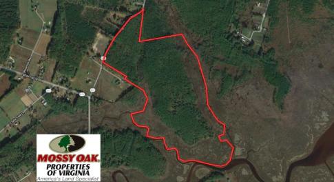 Photo of UNER CONTRACT!  109 Acres of Hunting Land for Sale in Mathews County VA!