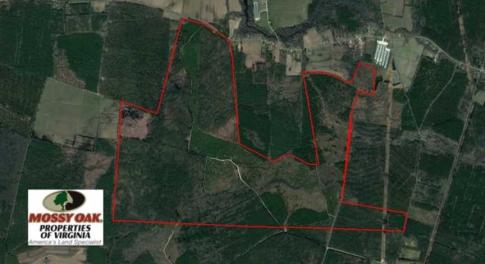 Photo of SOLD!  761 Acres of Hunting Land For Sale in Accomack County VA!