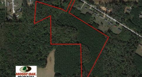 Photo of UNDER CONTRACT!  24.5 Acres of Hunting and Timber Land for Sale in Nash County NC!