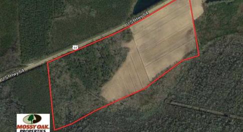 Photo of REDUCED!  83 Acres of Commercial Farm and Timber Land For Sale in Tyrrell County NC!