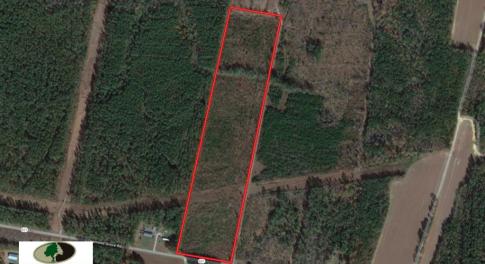 Photo of UNDER CONTRACT!  22 Acres of Wooded Hunting Land For Sale in Greensville County VA!