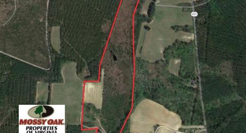 Photo of UNDER CONTRACT!  29 Acres of Hunting and Timber Land in Greensville County VA!